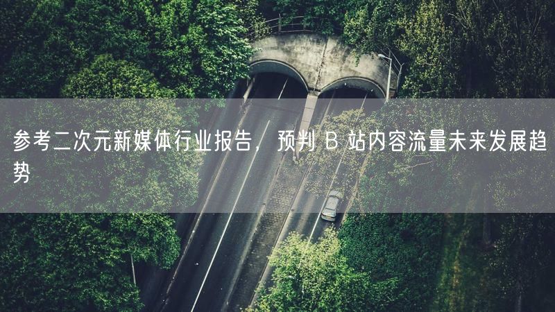 参考二次元新媒体行业报告，预判 B 站内容流量未来发展趋势