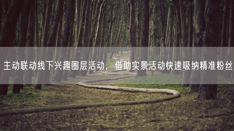 主动联动线下兴趣圈层活动，借助实景活动快速吸纳精准粉丝