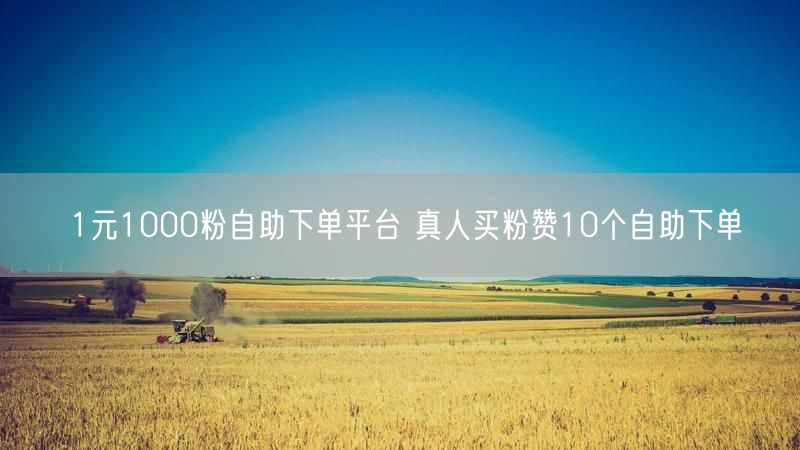 1元1000粉自助下单平台 真人买粉赞10个自助下单