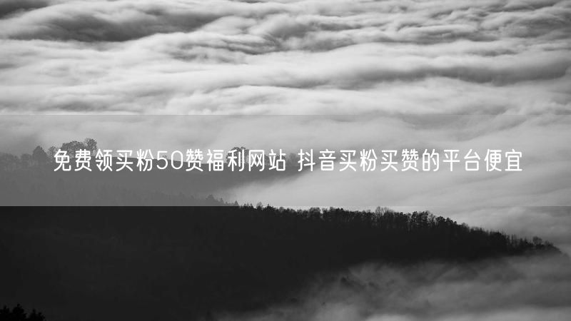 免费领买粉50赞福利网站 抖音买粉买赞的平台便宜