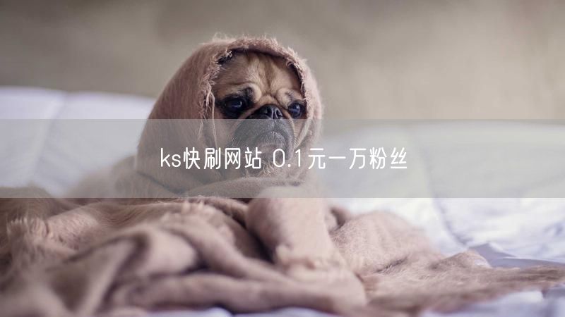 ks快刷网站 0.1元一万粉丝