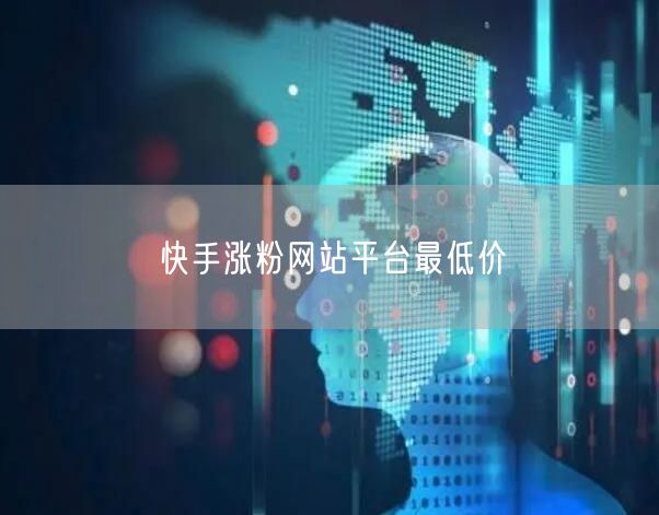 快手涨粉网站平台最低价