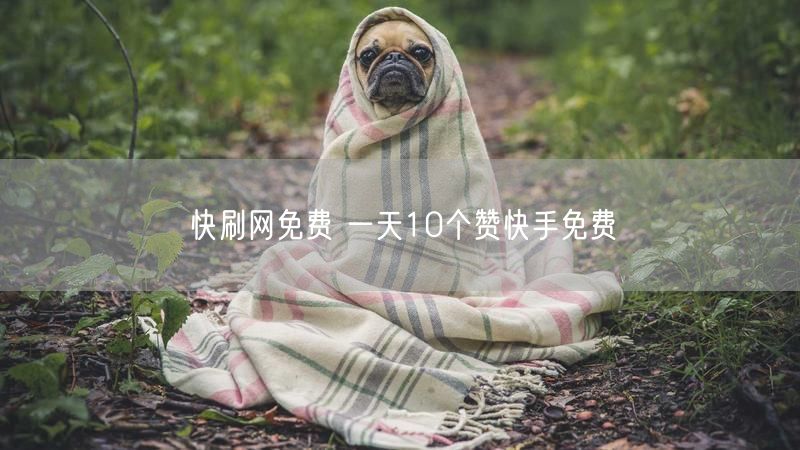 快刷网免费 一天10个赞快手免费