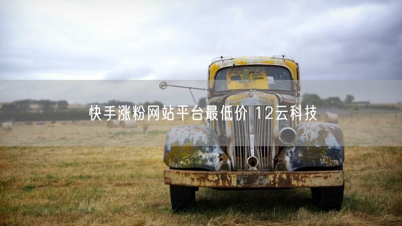 快手涨粉网站平台最低价 12云科技