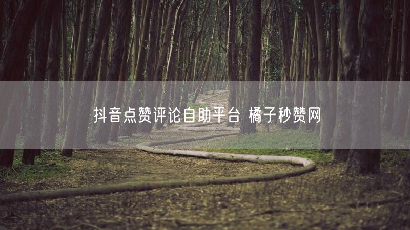 抖音点赞评论自助平台 橘子秒赞网
