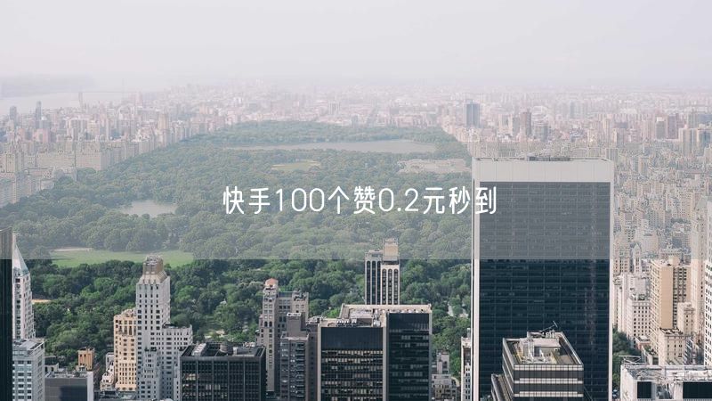 快手100个赞0.2元秒到