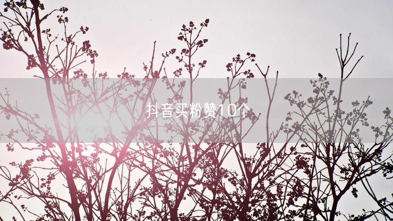 抖音买粉赞10个