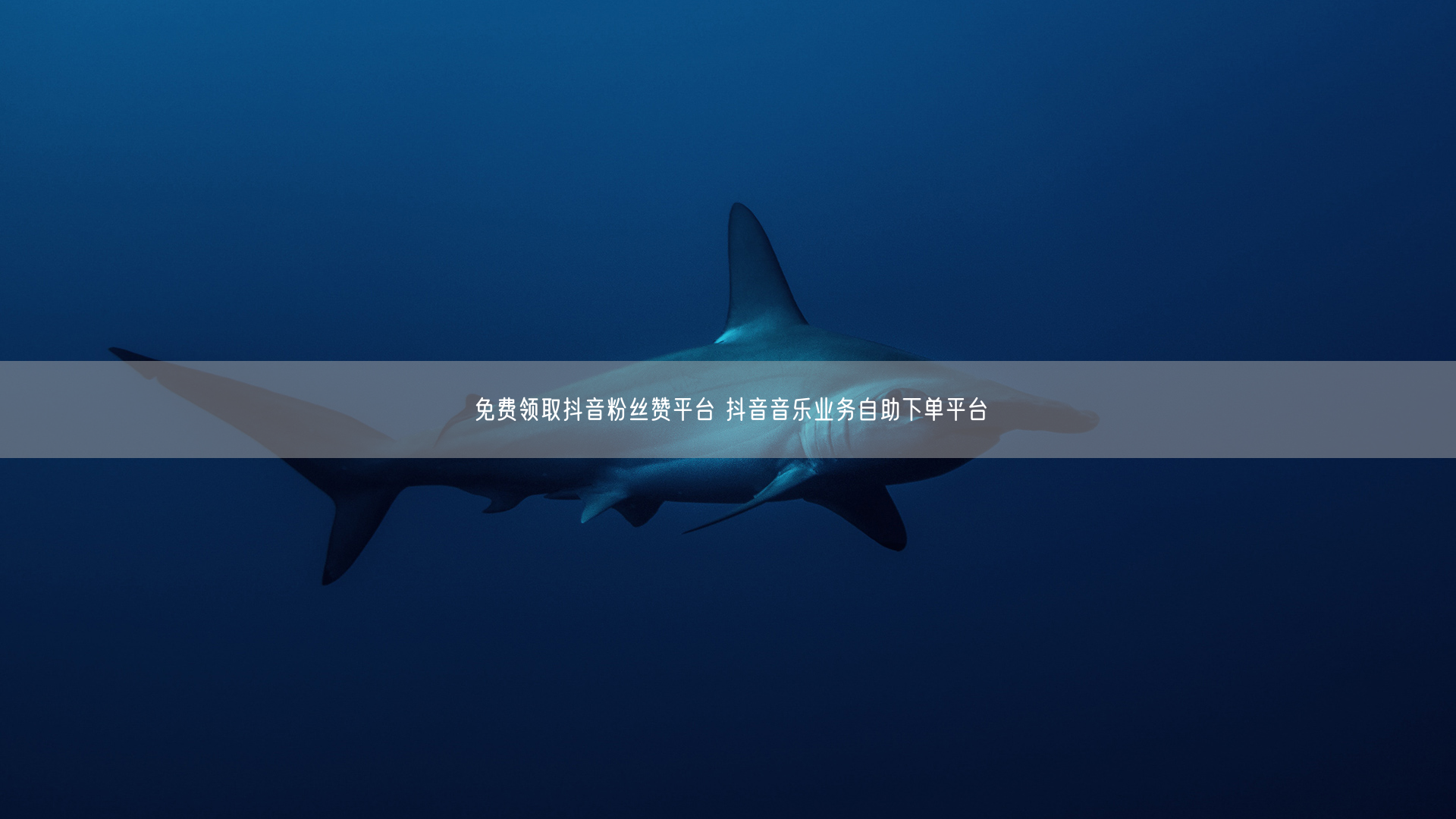 免费领取抖音粉丝赞平台 抖音音乐业务自助下单平台