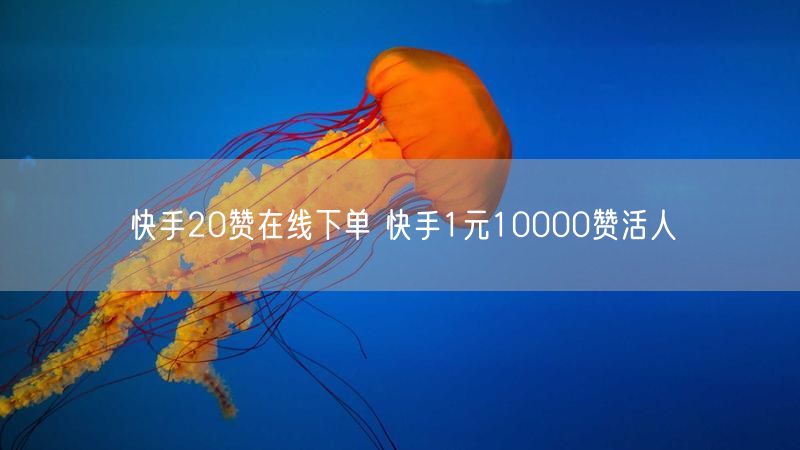 快手20赞在线下单 快手1元10000赞活人