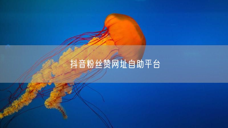 抖音粉丝赞网址自助平台