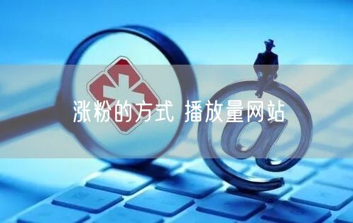 涨粉的方式 播放量网站