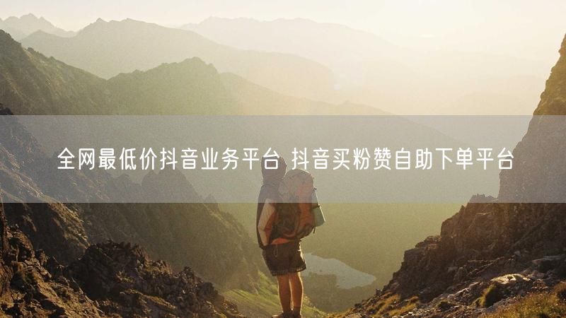 全网最低价抖音业务平台 抖音买粉赞自助下单平台