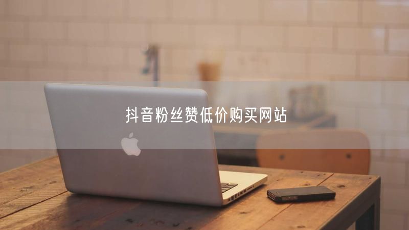 抖音粉丝赞低价购买网站