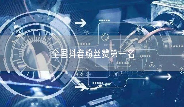 全国抖音粉丝赞第一名
