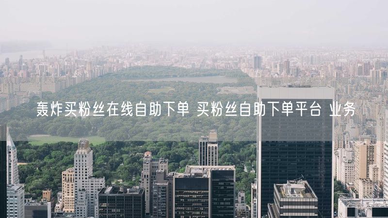 轰炸买粉丝在线自助下单 买粉丝自助下单平台 业务