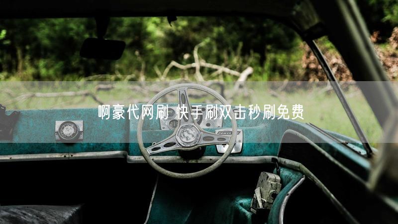 啊豪代网刷 快手刷双击秒刷免费