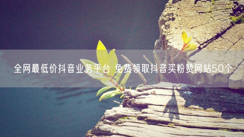 全网最低价抖音业务平台 免费领取抖音买粉赞网站50个