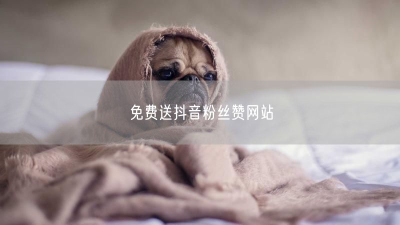 免费送抖音粉丝赞网站