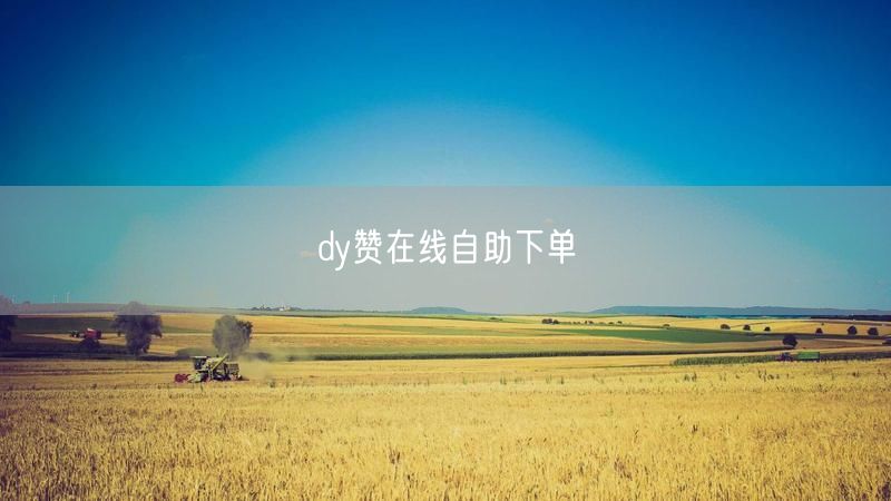 dy赞在线自助下单