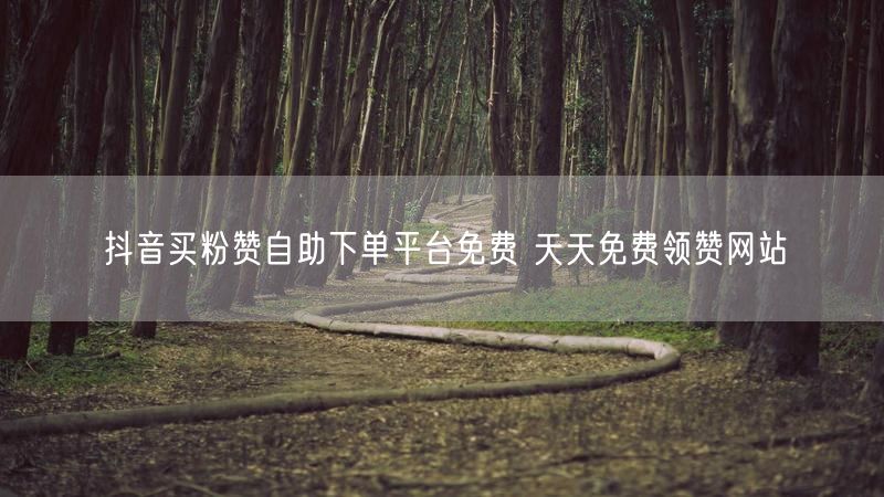抖音买粉赞自助下单平台免费 天天免费领赞网站