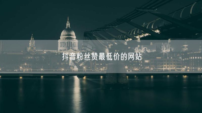 抖音粉丝赞最低价的网站