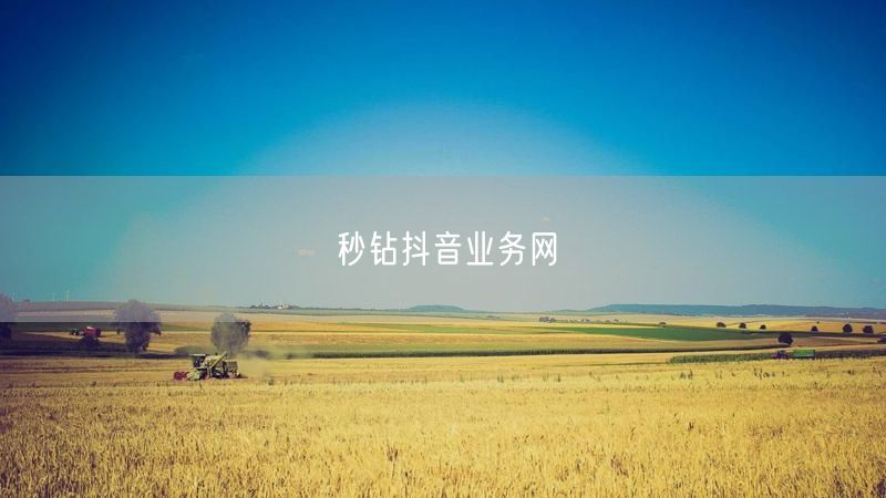 秒钻抖音业务网