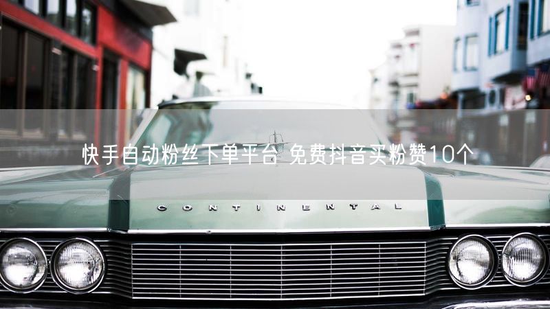 快手自动粉丝下单平台 免费抖音买粉赞10个