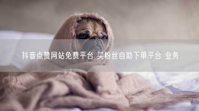 抖音点赞网站免费平台 买粉丝自助下单平台 业务