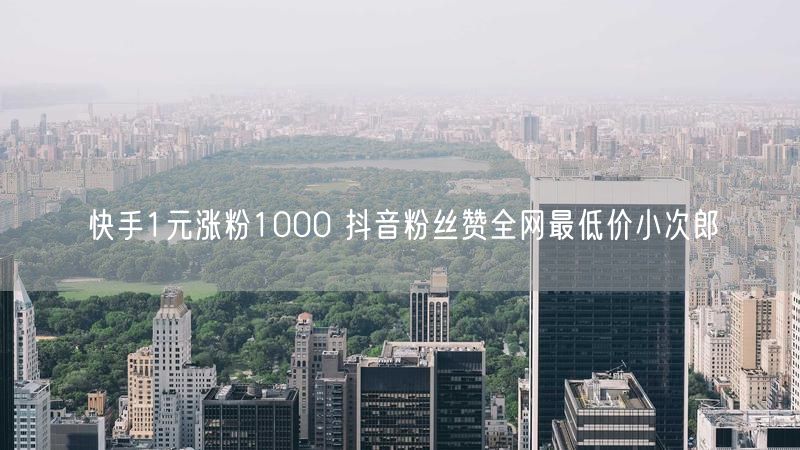 快手1元涨粉1000 抖音粉丝赞全网最低价小次郎