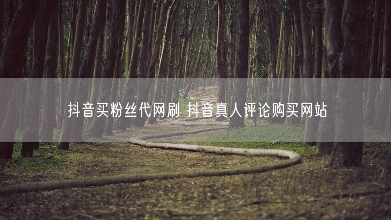 抖音买粉丝代网刷 抖音真人评论购买网站