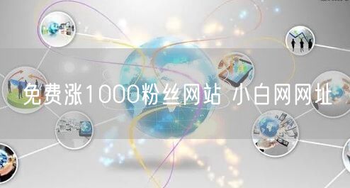 免费涨1000粉丝网站 小白网网址