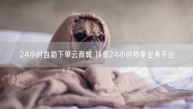24小时自助下单云商城 抖音24小时秒单业务平台