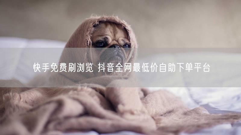 快手免费刷浏览 抖音全网最低价自助下单平台