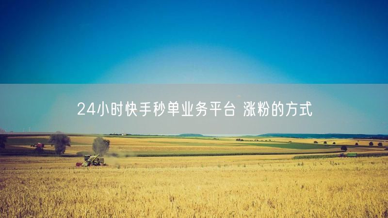 24小时快手秒单业务平台 涨粉的方式