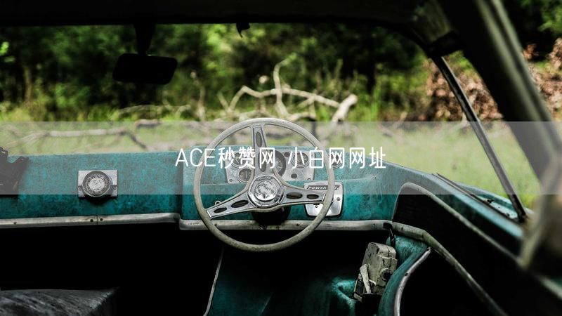 ACE秒赞网 小白网网址