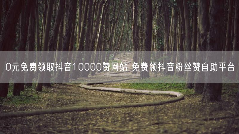 0元免费领取抖音10000赞网站 免费领抖音粉丝赞自助平台