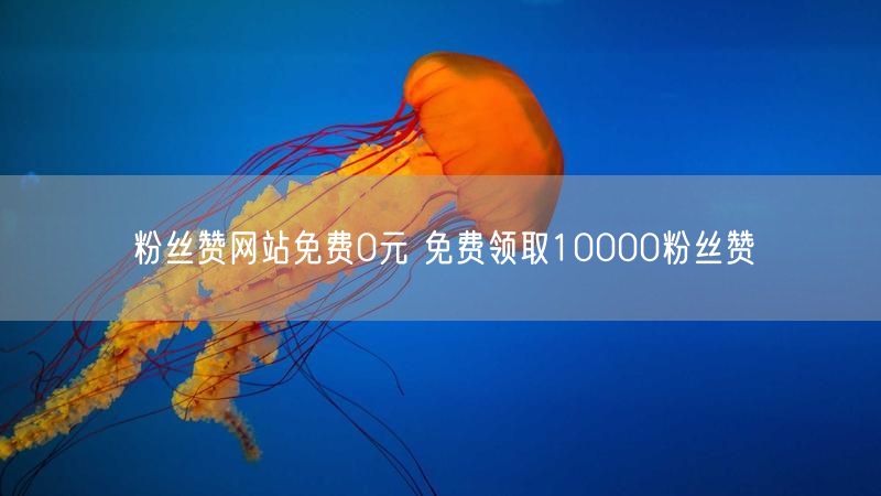 粉丝赞网站免费0元 免费领取10000粉丝赞