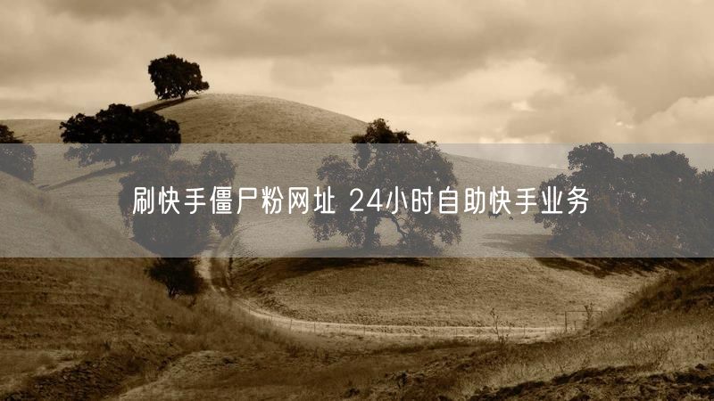 刷快手僵尸粉网址 24小时自助快手业务