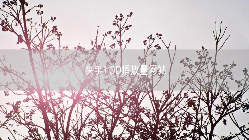 快手100播放量网站