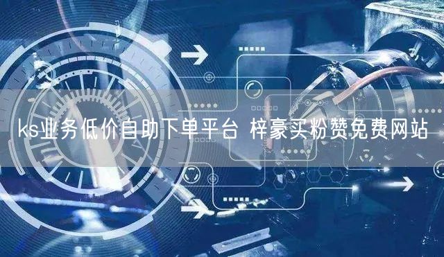 ks业务低价自助下单平台 梓豪买粉赞免费网站