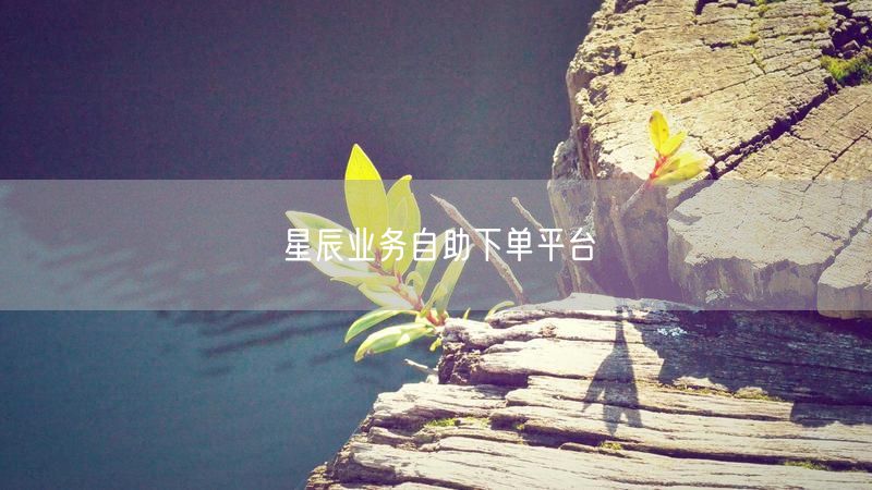 星辰业务自助下单平台