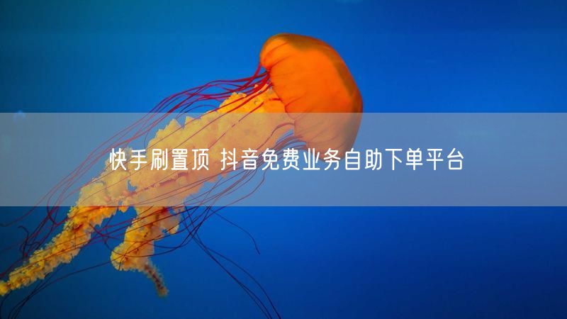 快手刷置顶 抖音免费业务自助下单平台