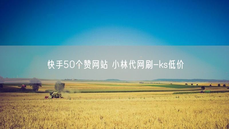 快手50个赞网站 小林代网刷-ks低价