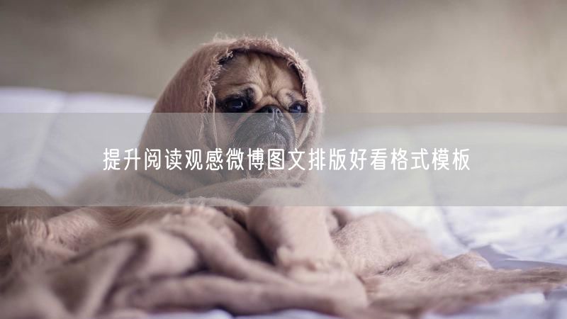提升阅读观感微博图文排版好看格式模板