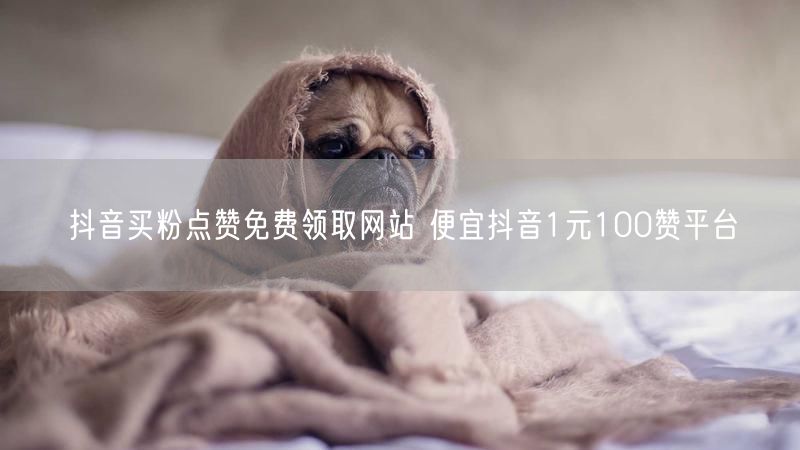 抖音买粉点赞免费领取网站 便宜抖音1元100赞平台