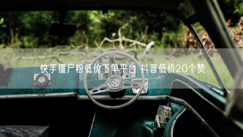 快手僵尸粉低价下单平台 抖音低价20个赞