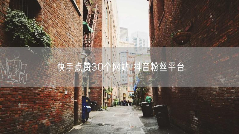 快手点赞30个网站 抖音粉丝平台