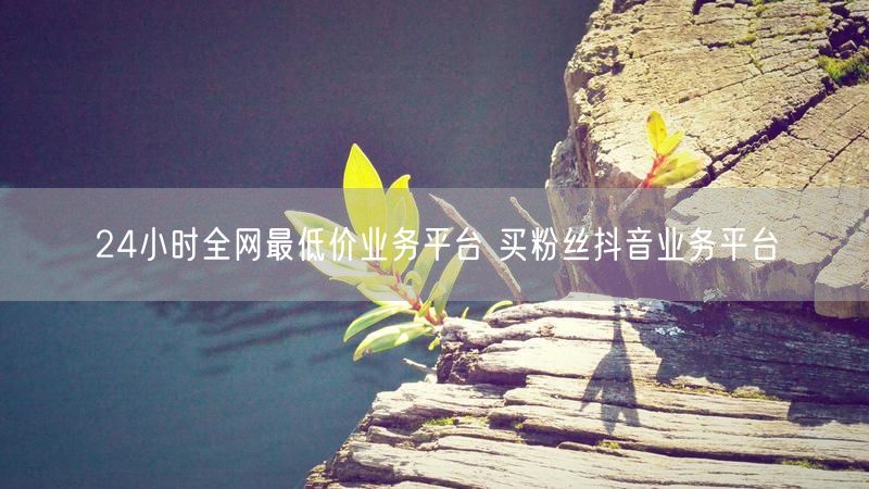 24小时全网最低价业务平台 买粉丝抖音业务平台