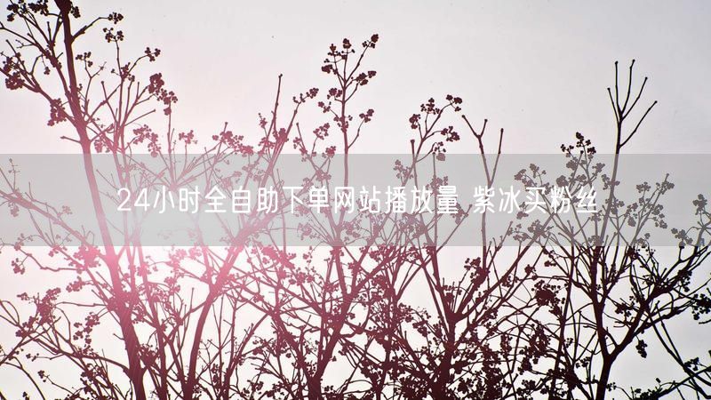 24小时全自助下单网站播放量 紫冰买粉丝