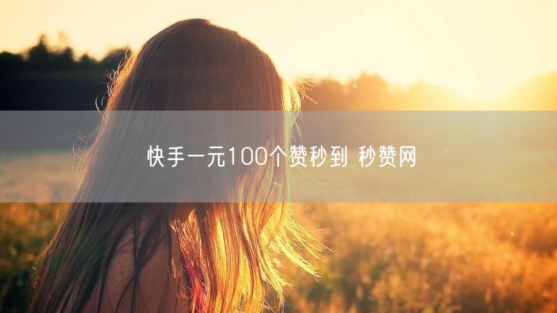 快手一元100个赞秒到 秒赞网